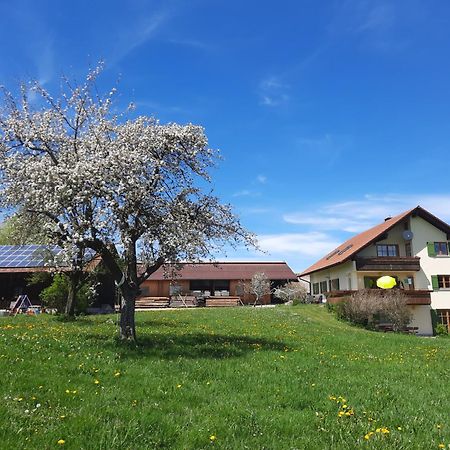 Bauer Haug Appartement Dietmannsried Buitenkant foto