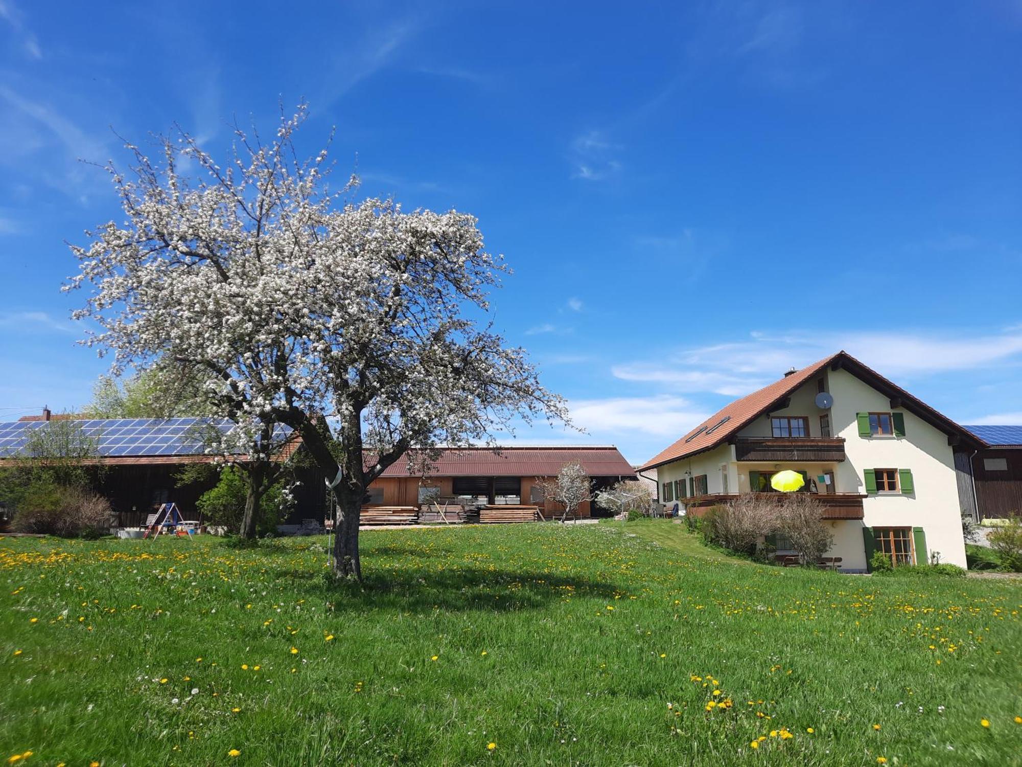Bauer Haug Appartement Dietmannsried Buitenkant foto